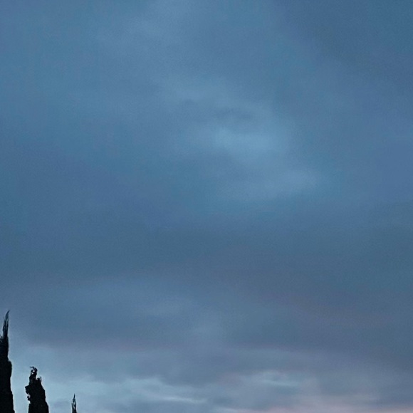 Meet your Posher, Shantel - Picture 1 of 1